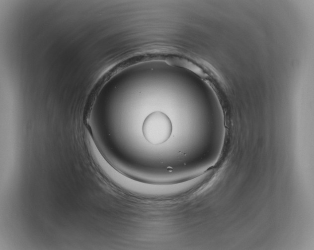 X0000110711065200906191543