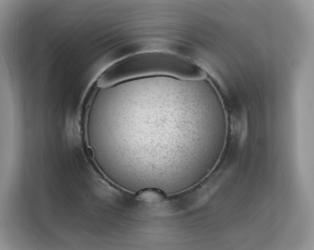 X0000110711068200906191543