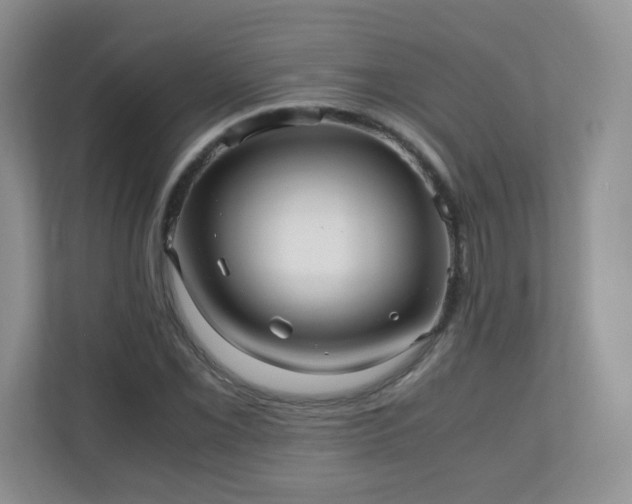 X0000110711069200906191543