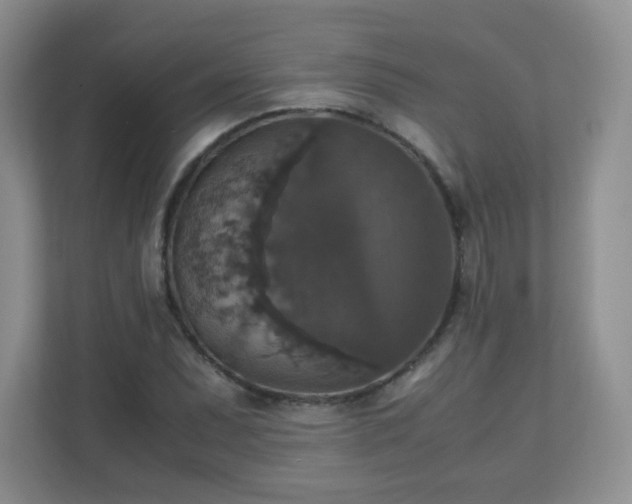 X0000110711071200906191543