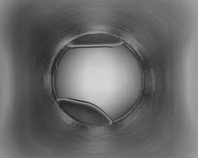 X0000110711072200906191543