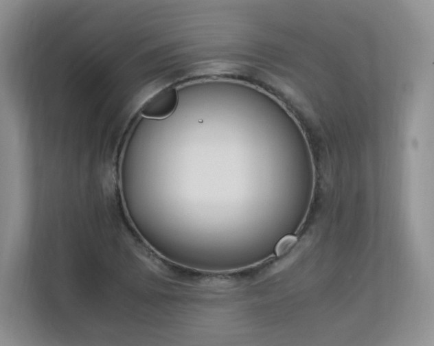 X0000110711073200906191543