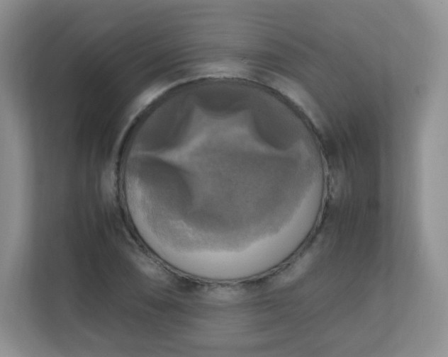 X0000110711074200906191543