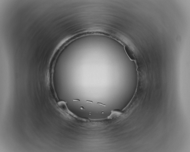 X0000110711076200906191543