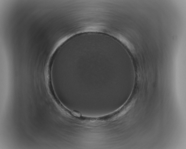 X0000110711077200906191543