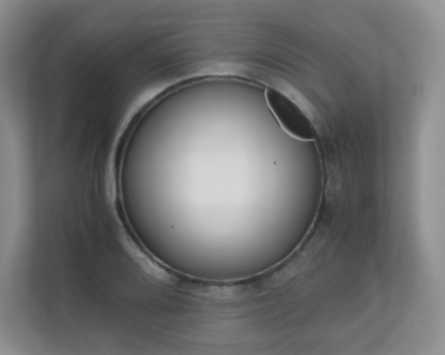 X0000110711080200906191543
