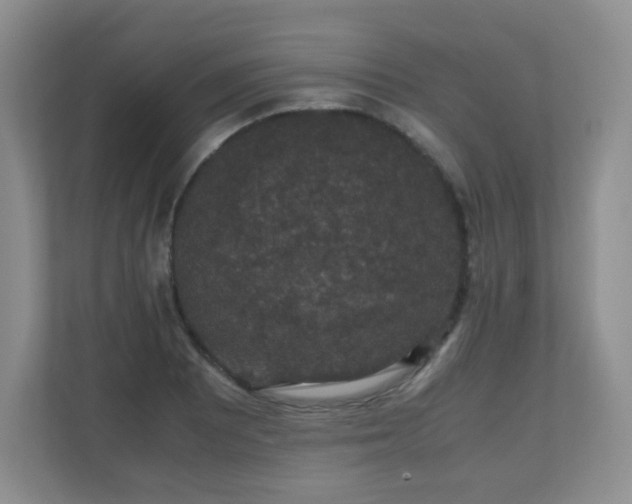 X0000110711081200906191543