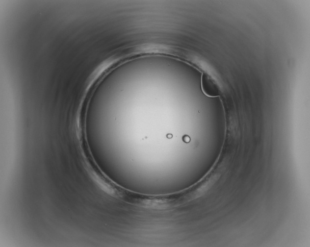 X0000110711082200906191543