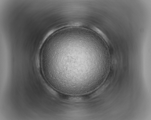 X0000110711083200906191543