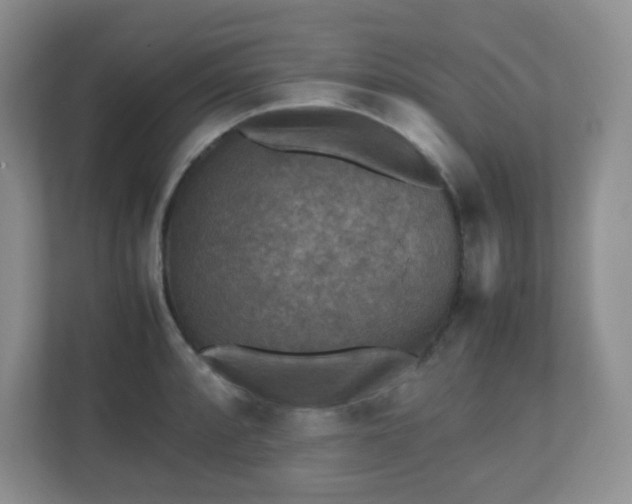 X0000110711088200906191543