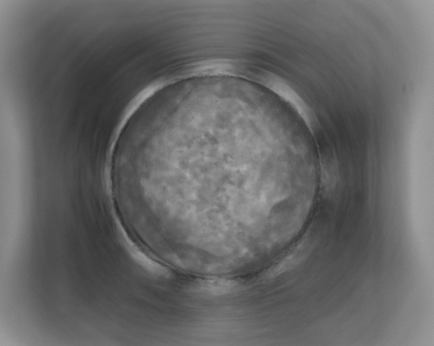 X0000110711090200906191542