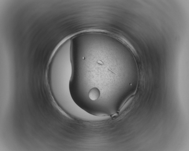 X0000110711092200906191542