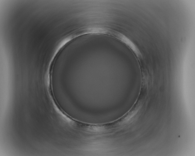 X0000110711095200906191542