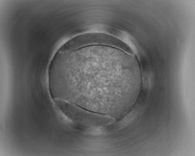 X0000110711096200906191542