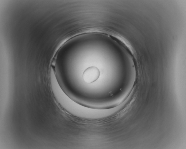 X0000110711097200906191542