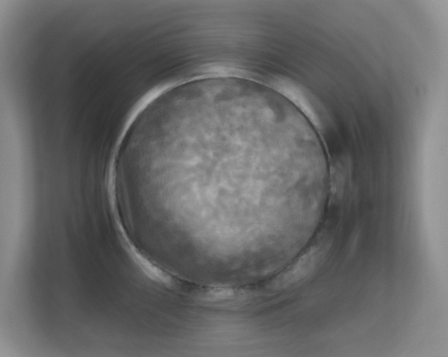 X0000110711098200906191542