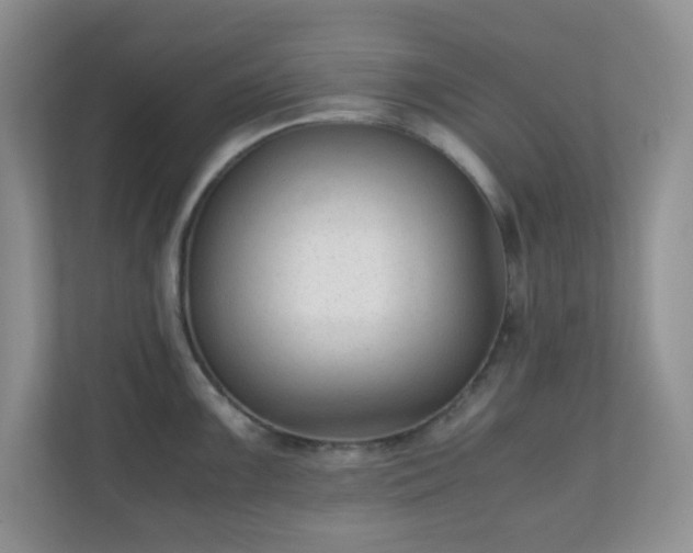 X0000110711099200906191542