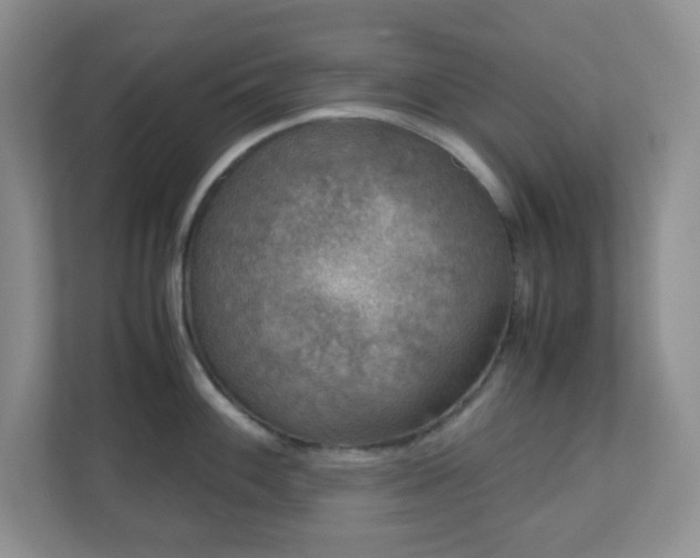 X0000110711100200906191542