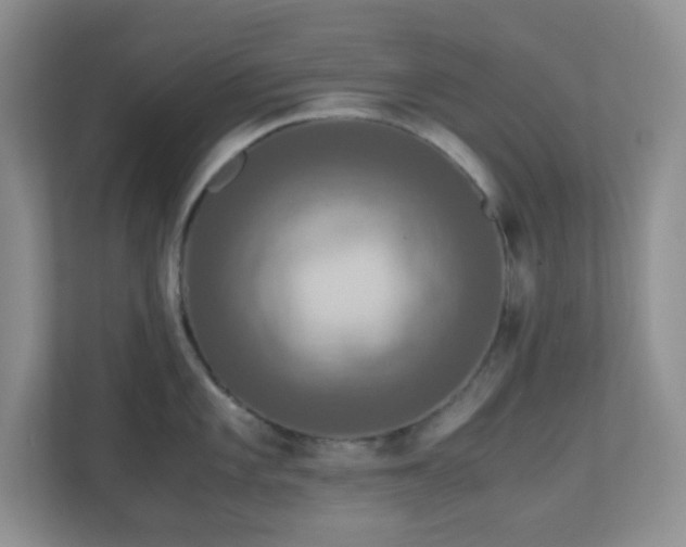 X0000110711101200906191542