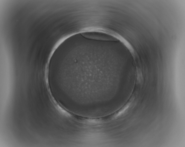 X0000110711102200906191542