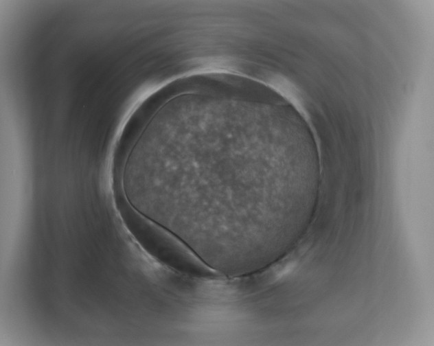 X0000110711104200906191542
