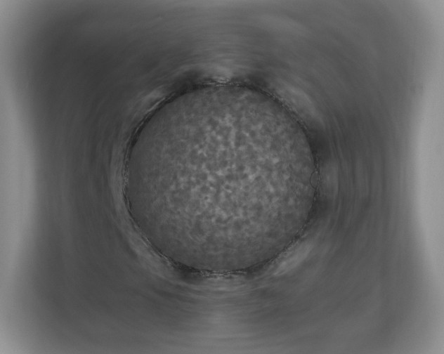 X0000110711105200906191542