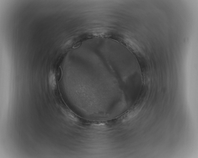X0000110711106200906191542