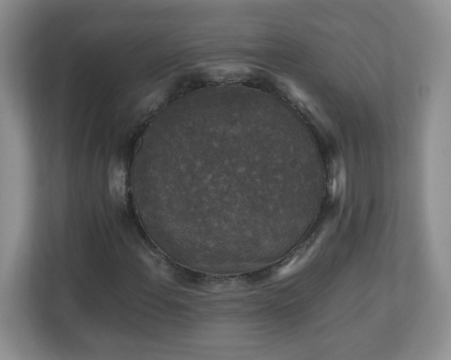 X0000110711108200906191542