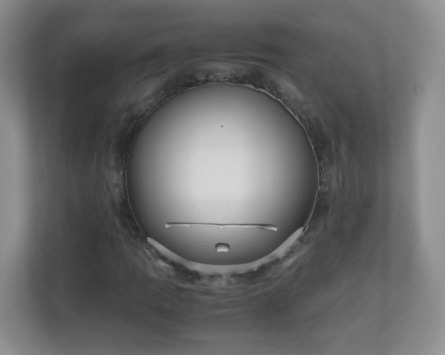 X0000110711109200906191542