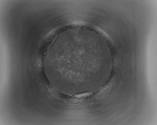 X0000110711110200906191542