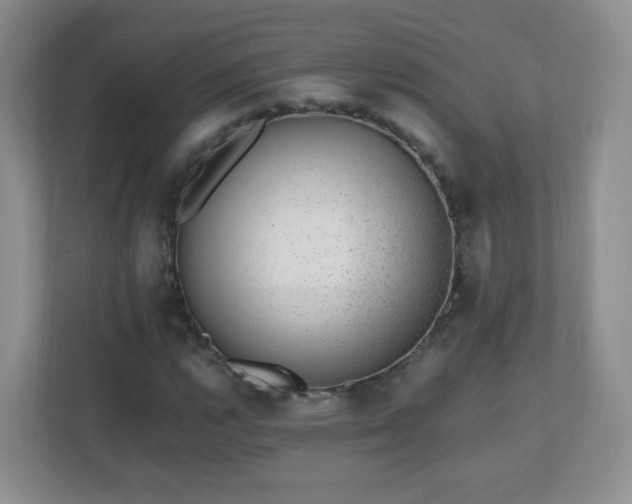 X0000110711112200906191542
