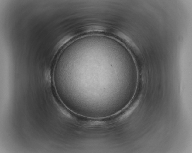 X0000110711113200906191542