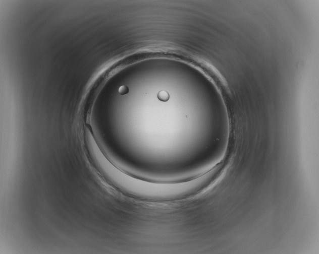 X0000110711114200906191542