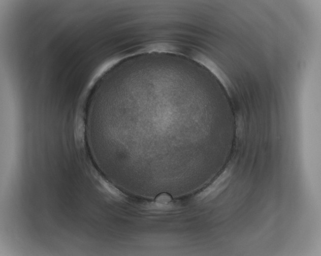 X0000110711115200906191542