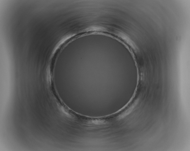 X0000110711117200906191542