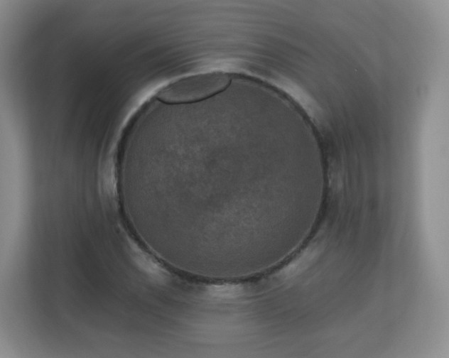 X0000110711118200906191542