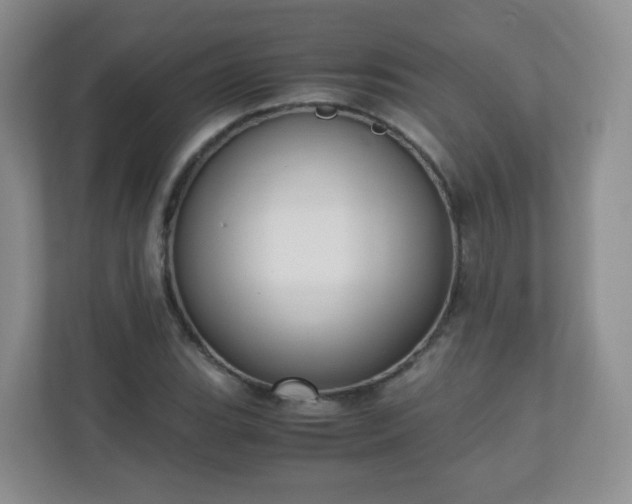 X0000110711119200906191542