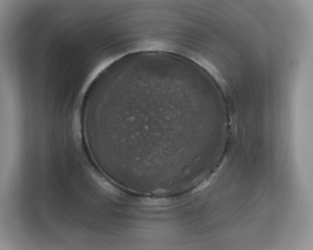 X0000110711120200906191542