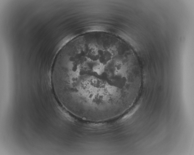 X0000110711121200906191542