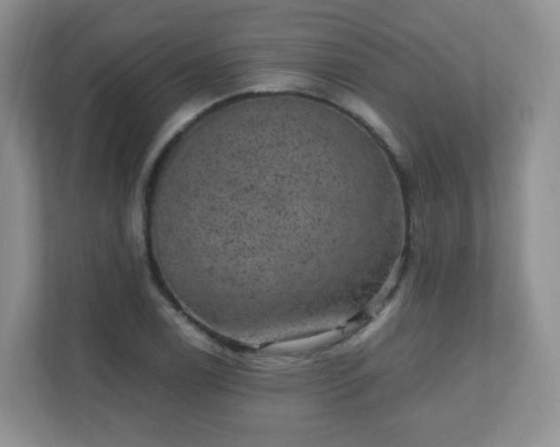 X0000110711122200906191542