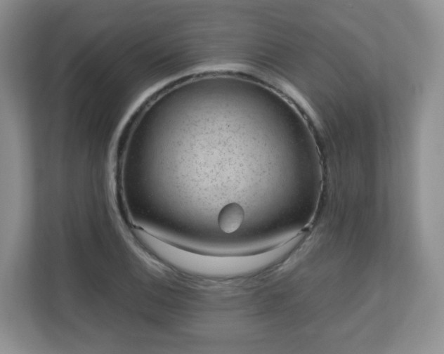 X0000110711124200906191542