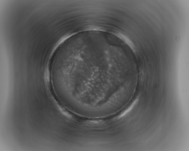 X0000110711125200906191542