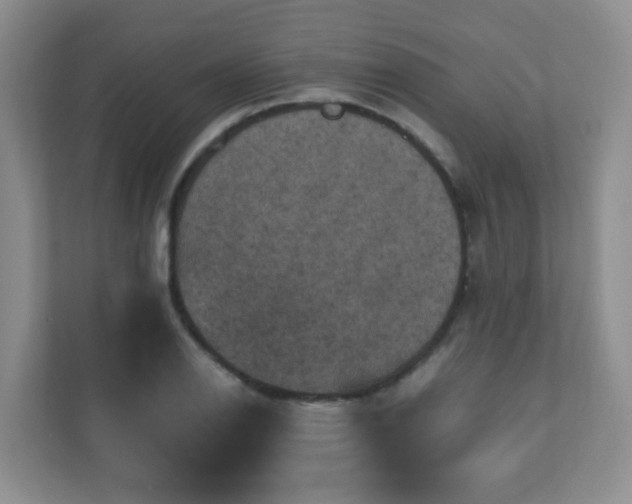 X0000110711126200906191542