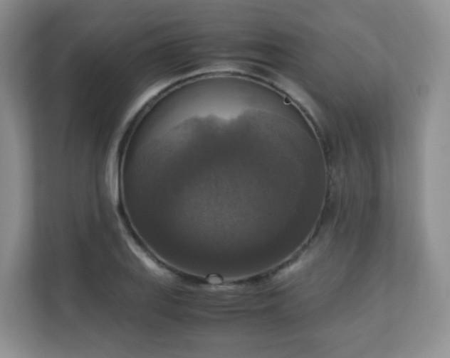 X0000110711127200906191542