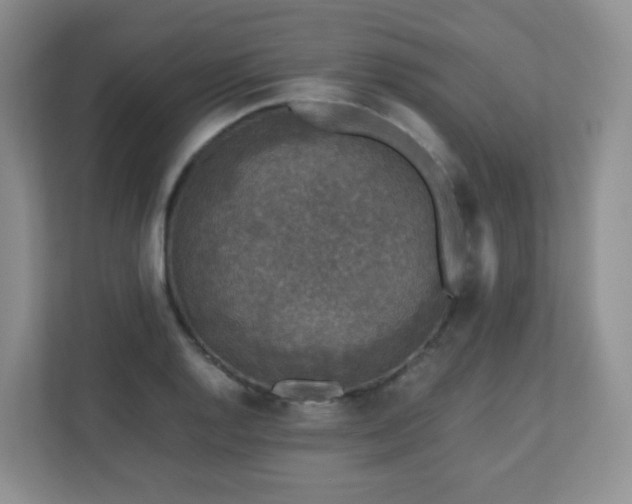 X0000110711128200906191542