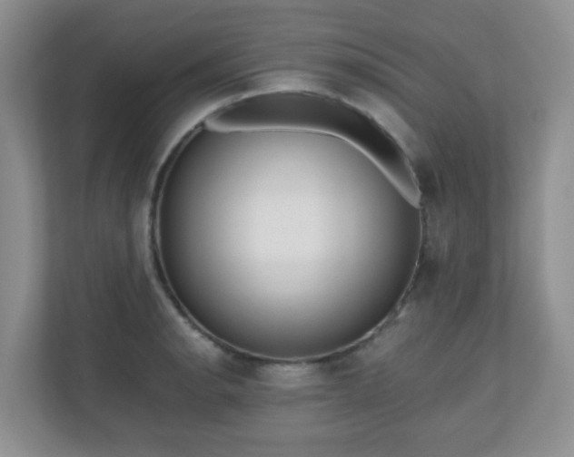 X0000110711134200906191542
