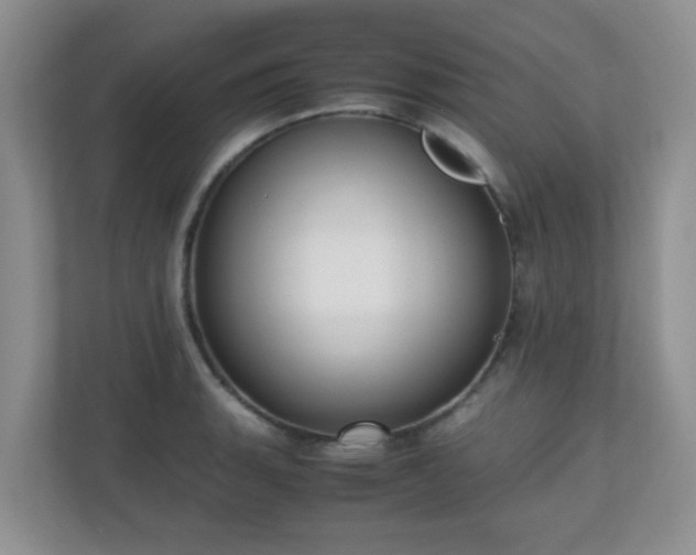 X0000110711135200906191542
