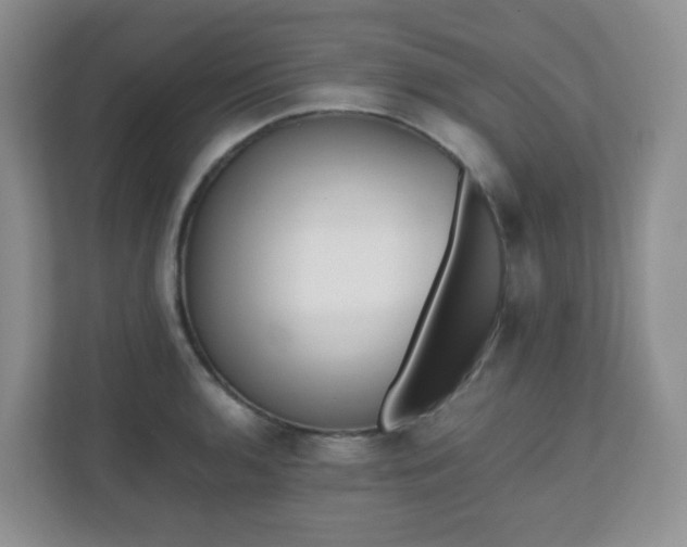 X0000110711136200906191542