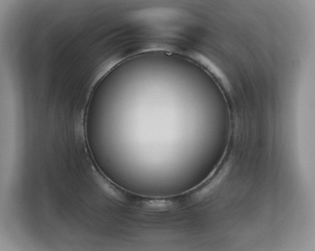 X0000110711137200906191542