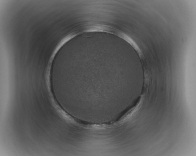 X0000110711138200906191542